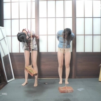 新月原创，你们两个很好玩！